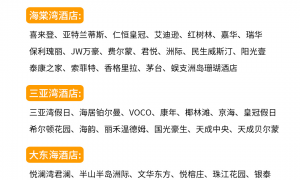 2026年三亚蜜月自驾旅行攻略服务商挑选全攻略