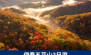 2026年伊春包车游玩预订服务商客户真实体验口碑盘点