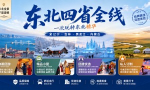 2026年省心的漠河包车免费做攻略服务商挑选全攻略