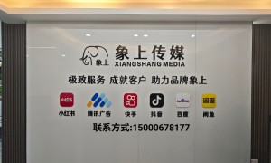2026年高性价比的抖音推广代运营团队有哪些，资质齐全的服务商推荐