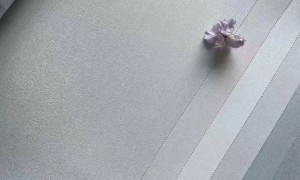 2026年丽致软装品牌推荐，服务质量与产品性价比分析