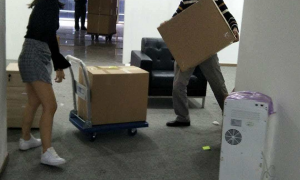 2026年有实力的搬家服务机构推荐