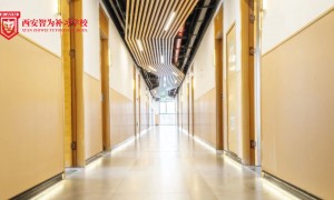 2026年艺考生文化课集训机构客户真实体验口碑