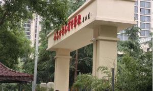智为补习学校的学生志愿服务情况如何？选择指南