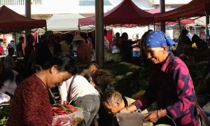 2026年云南昆明养老旅居酒店服务商口碑公司汇总