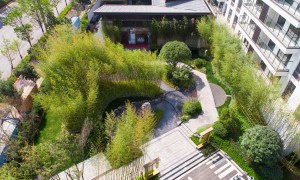 园区园林绿化施工生态修复公司推荐：苗木品类全、成本控制优