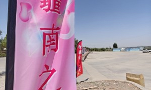 2026年靠谱的新疆驼绒产品生产厂家推荐 用户力荐
