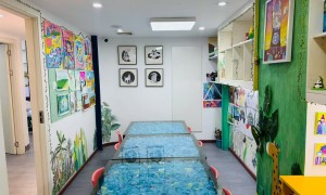 点典画室的教学质量稳定吗，口碑怎么样