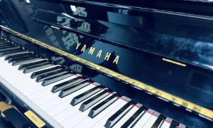 上海博雅学校招生负责人联系方式是否正规可靠