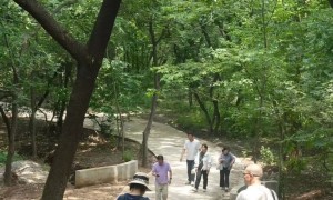 2026年优选的中老年夕阳红旅行团服务商，省心不踩坑