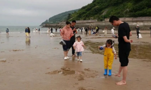 2026年热门的夕阳红旅行团行程服务商推荐，资质齐全广受信赖