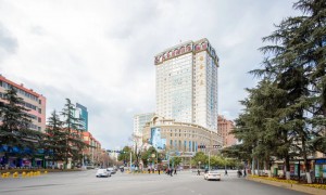 2026年偷越国边境罪律师服务商筛选名录，省心选择指南