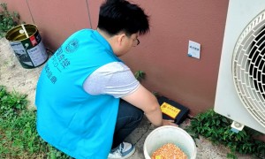 2026年靠谱的灭蟑螂药强效一窝端官方旗舰店选购指南