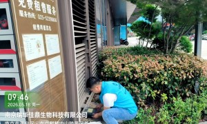 消杀服务公司上门除虫推荐，正规的消杀品牌企业实力参考