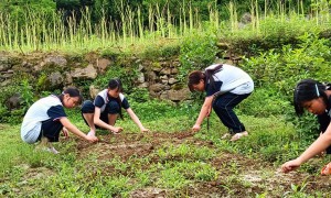 小河镇兴隆初级中学客户认可吗