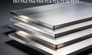 FTA2钛板加工厂哪家合作案例多？2026年质量参考评选