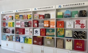 河北泰舟靠谱吗？多方面为你解读