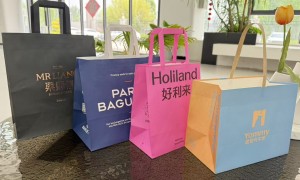 天津正规的蛋糕围边制造厂家有哪些？美亦科技资质齐全用户力荐