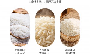 湖北食堂大米批发厂家报价 南方籼米加工供货能力解读