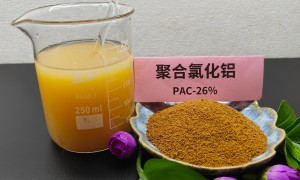 2026年靠谱的聚合氯化铝厂家实力参考