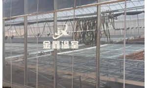 薄膜连栋温室靠谱厂家质量参考评选