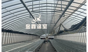 2026年资质齐全的薄膜连栋温室供应商企业全景分析