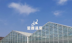 郑州玻璃温室生产厂家哪家靠谱 实力参考与用户口碑深度解析