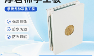 2026年苏州机制净化板加工厂商哪家更值得选，质量参考评选