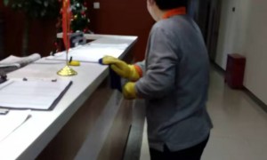 2026年符合环保标准的除虫灭菌服务商筛选名录