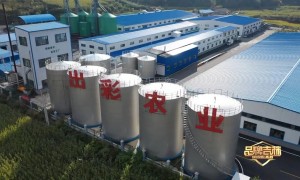 白桦树原汁品牌推荐几家，正规源头厂家实力参考