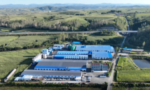 白桦树原汁品牌服务有哪些，深圳正规服务商推荐