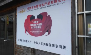 正宗阳澄湖大闸蟹厂家选购参考汇总