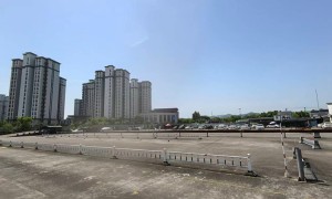 2026年口碑好的汽车陪练服务商挑选全攻略