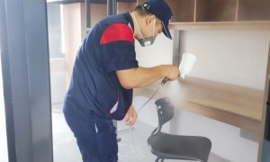 荔湾学校除甲醛找哪些比较好的公司？拓普环保科技客户口碑力荐