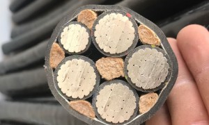 2026年河南靠谱的铝合金电缆工厂用户力荐