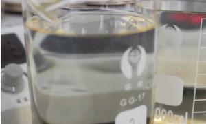 2026年市政生活污水处理类菌剂代加工哪家专业，益水源生物技术实力参考