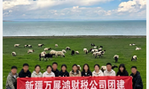 2026年乌鲁木齐水磨沟货运公司注册代办：正规资质齐全的代办企业推荐