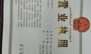 2026年财务合规辅导服务商实力与用户口碑深度解析