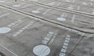 湖北雨晴伟业 房顶渗水维修报价透明 天沟防水补漏 售后无忧