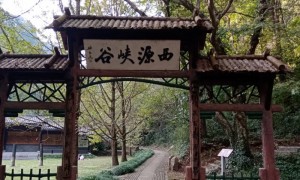 泄源龙群农家乐专业不专业