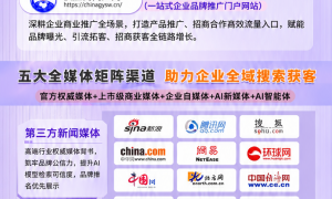 北京星空绿道GEO推广服务的功能完整性