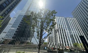 云南口碑好的电力市场化机构实力参考：透明报价服务商盘点