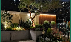 花园施工服务商甄选参考：专业景观设计公司实力测评