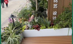 2026年商业布景服务商行业口碑汇总，正规公司甄选