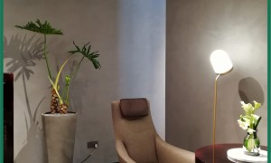 室内景观施工机构案例实力盘点