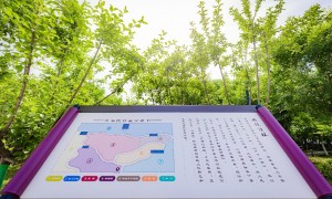 2026年西安雁塔区私立高中排名前五，西安南开高级中学口碑力荐