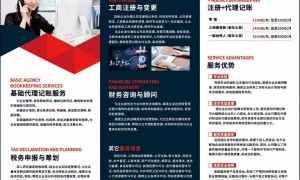 2026年评价高的代理记账机构有哪些？行业现状与选择指南