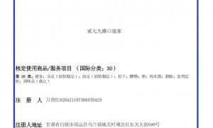 2026年知名的知识产权合规代理服务商，成立多年经验丰富