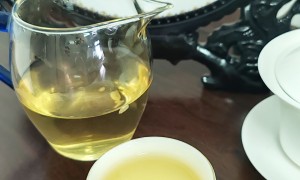 龙芽大师成 都旅行茶叶伴手礼怎么选？靠谱商家实力参考