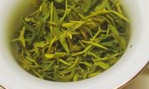 四川龙芽大师绿茶，适合学生的正规品牌